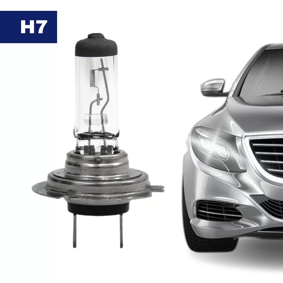 LAMPADA BIODO H-7 12V 55W